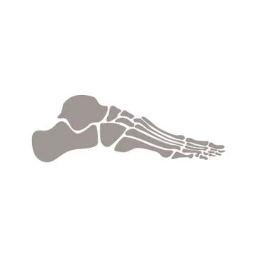Bones of human foot vector flat illustration isolated on white background. Stock Illustration