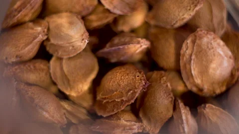 Bones in a jar 4K Stock Footage 156531128