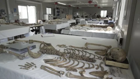 Bones of missing people in the Committee For the Missing in Cyprus  Stock Footage 144069646