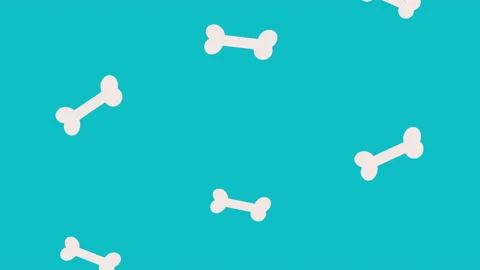 Bones pets food pattern animation Stock Footage 167612864
