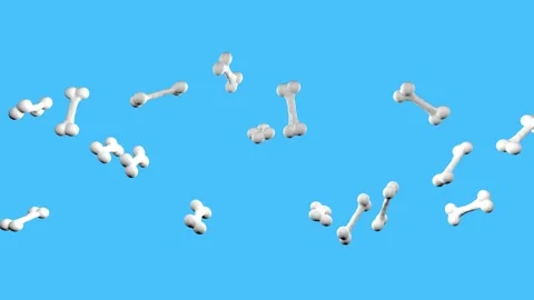 Bones pets food pattern animation FHD video animated Video stock 301184179