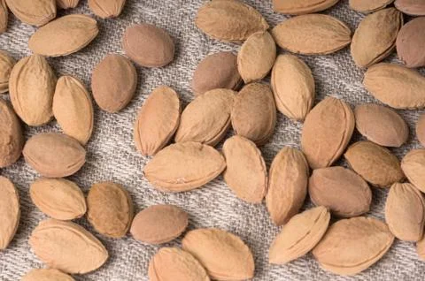 Bones of a plum on the background of a linen gray tablecloth Stock Photos
