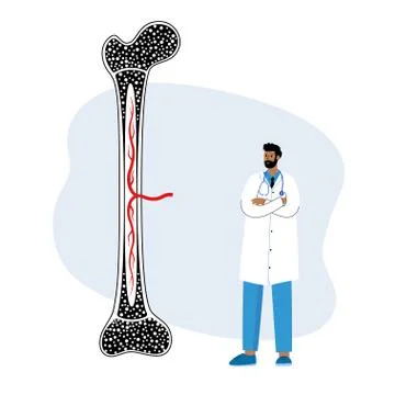 Bones template concept Stock Illustration
