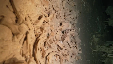 Bones Underwater Cave Stockbeeldmateriaal 273178468