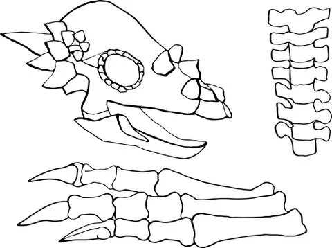 Bones Vector hand drawn paleontological set isolated on white background Stock Illustration