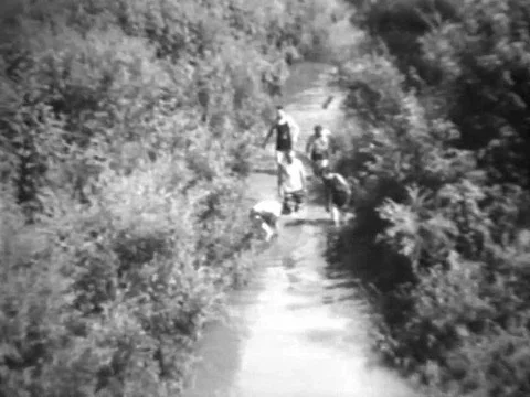 Bones from a wooly mammoth are brought forth from an old swimming hole, in Stock Footage