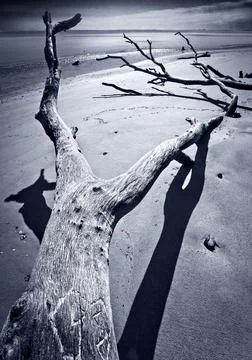 Boneyard Beach Stock Photos