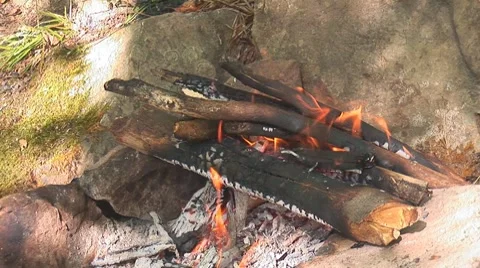 Bonfire 1 Stock Footage 8795813
