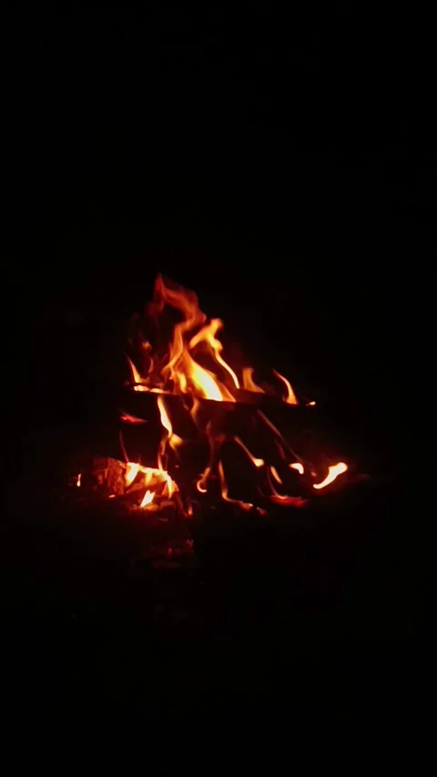 Bonfire 1 Stock Footage 278003501