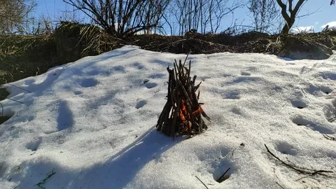 Bonfire (1) Full HD 60 FPS Stock Footage 267614580