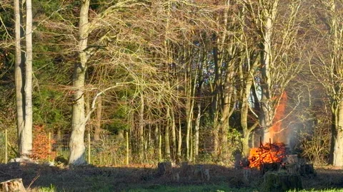 Bonfire 2 動画素材 328322100