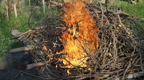 Bonfire amidst the grass Stock Footage 43104527