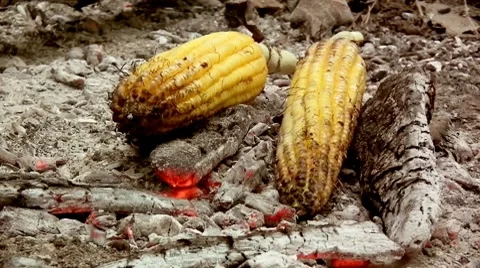 Bonfire and corn Vidéo 7130530