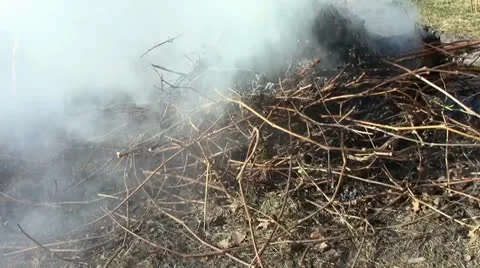 Bonfire and much smoke Stock Footage 24696941
