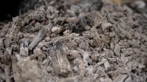 Bonfire (ashes) in forest close up Stock Footage 103107143