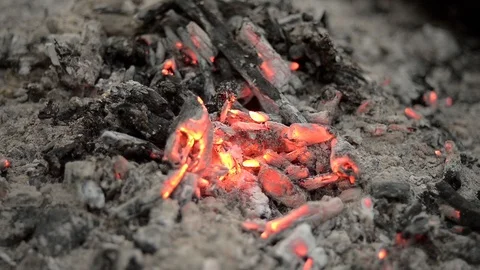 Bonfire (ashes) in forest close up Stock Footage 103107157