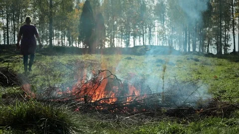 Bonfire in autumn. Stock Footage 97457790