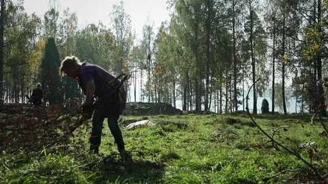 Bonfire in autumn. Stock Footage 97458571
