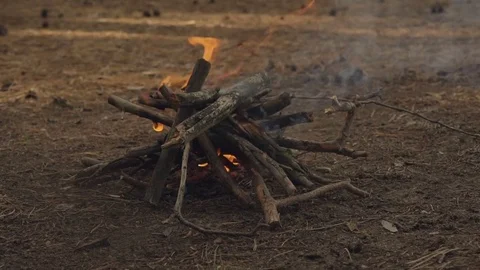 Bonfire at autumn pine forest. Warm evening. Camp fire burn in slow motion Stock-Footage 80783647