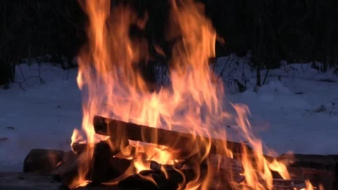 Bonfire on the background of the night forest A. Vidéo 148168888