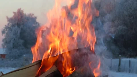 Bonfire on the background of snowy trees in winter Stock Footage 227335778