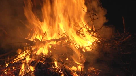Bonfire in backyard Stock Footage 46615442