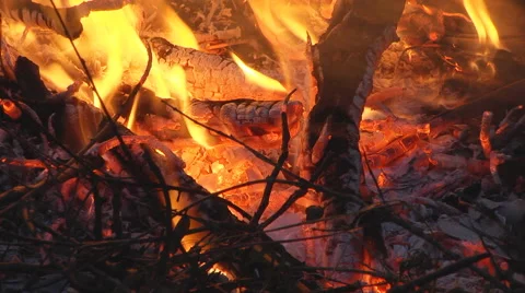 Bonfire in backyard Stock Footage 46615515