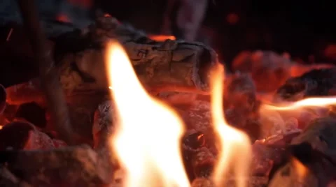 Bonfire barbecue Stock Footage 54342214