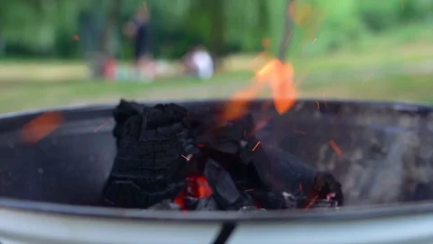 Bonfire for bbq with fire and coal. Green background with people. Video stock 111582368