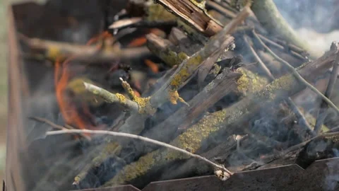 The bonfire in the bbq grill  Stock Footage 146860658