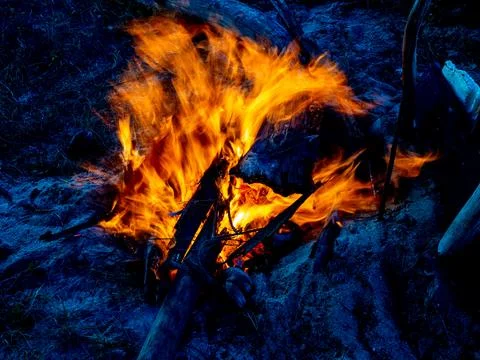 Bonfire at the beach in the evening. Stock Photos