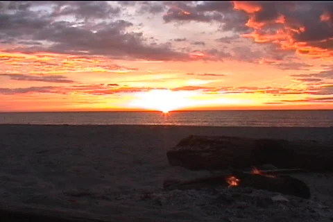 Bonfire at the Beach 스톡 동영상 124383