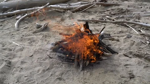 Bonfire On The Beach Video stock 91013391