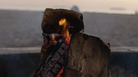 Bonfire on the beach Stock Footage 146757953