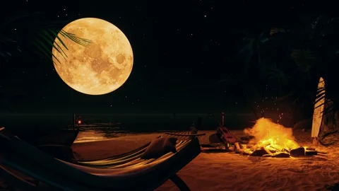 Bonfire on the beach Stock Footage 221769823