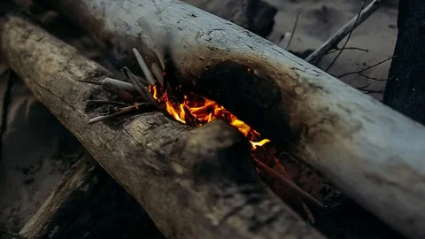 Bonfire on the beach. Large logs. Evening. Stock Footage 98859886