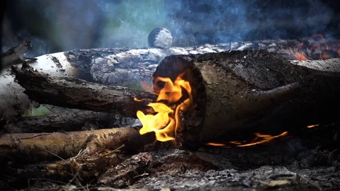 Bonfire on the beach. Large logs. Evening. Video stock 98860334