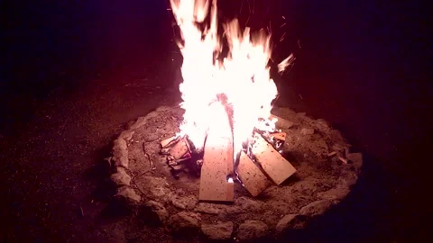 Bonfire on the beach at night, close up Stock Footage 169165445