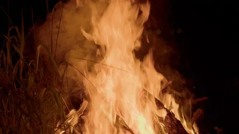 Bonfire with big flames Vídeos de archivo 200431868