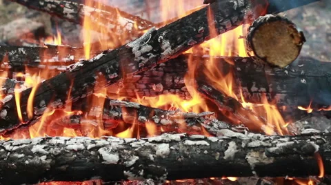 Bonfire of birch firewood close up Stock Footage 67830035