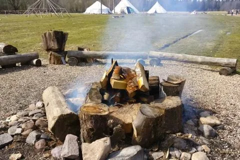 Bonfire of birch logs is burning. The fire. Stock Photos