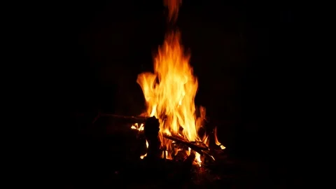 Bonfire on a black background. Stock Footage 75431286
