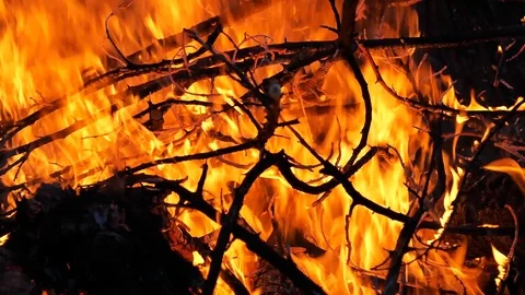 The bonfire on black background Stock Footage 93836345