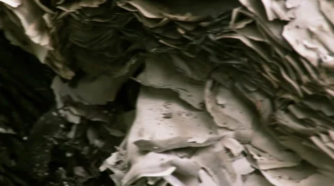 Bonfire Of Books And Personal Documents Being Destroyed Stock Footage 64290105