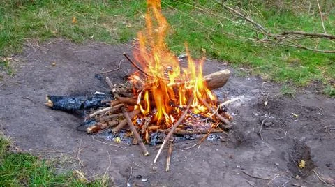 Bonfire from the branches in the forest Stock Photos