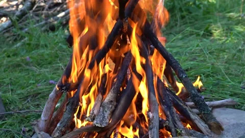 Bonfire from the branches of nature Fire Stock Footage 137347976