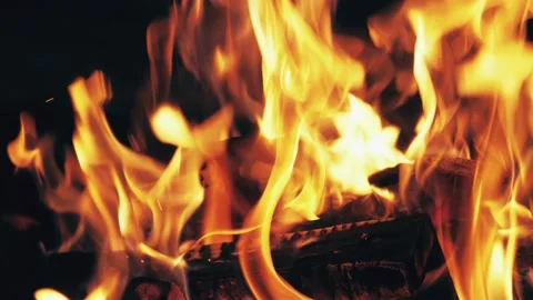 Bonfire brightly trees light big heat closeup. Orange fire flames on black Video stock 146443137