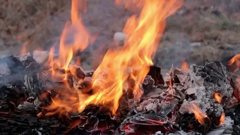Bonfire of Burning Books Stock Footage 72555510