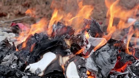 Bonfire of Burning Books Stock Footage 72557181