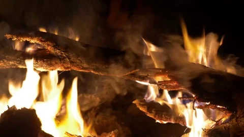 A Bonfire, a burning branch in a bonfire. 動画素材 71954501